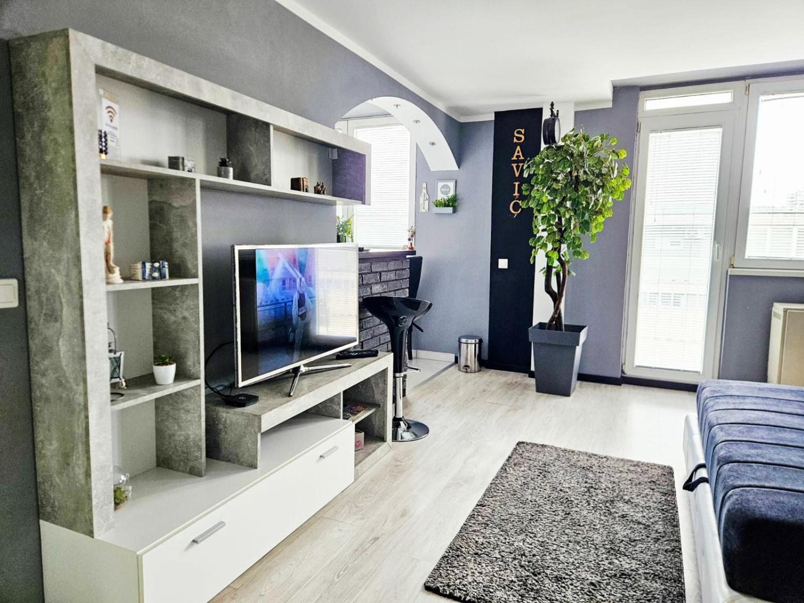 Savic Apartment Center - Parking Free Nis Luaran gambar
