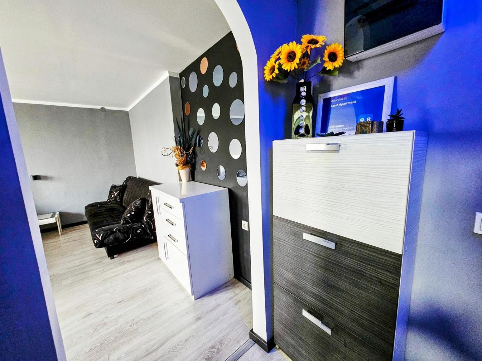 Savic Apartment Center - Parking Free Nis Luaran gambar
