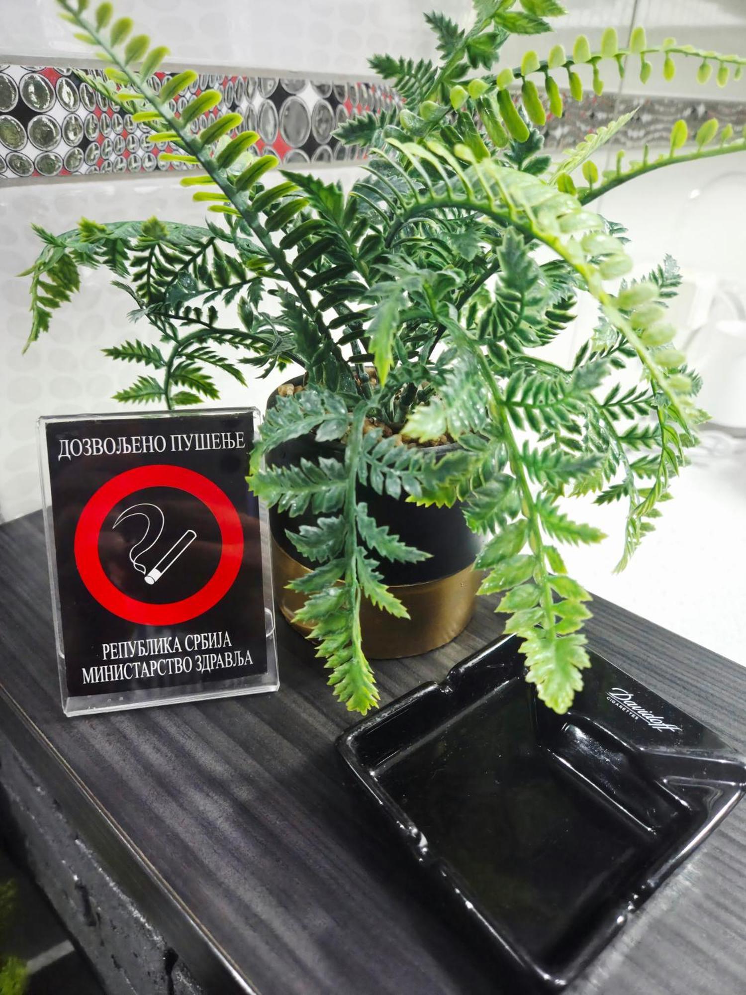 Savic Apartment Center - Parking Free Nis Luaran gambar